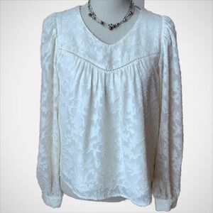 SCOTCH & SODA Cream Burnout Blouse Size XS